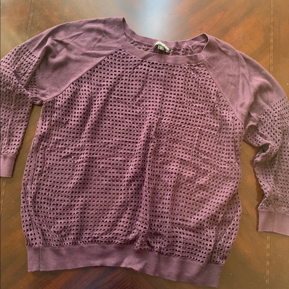 Express Purple Sweater